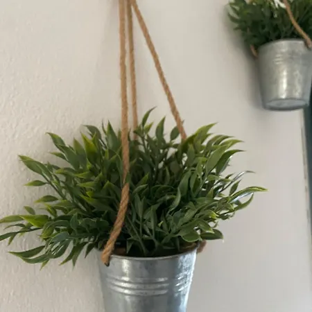 Xxxxx Apartamento Cerea