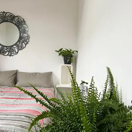 Apartament Xxxxx